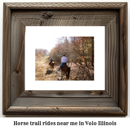 horse trail rides near me in Volo, Illinois